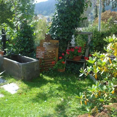 Pension Einsiedelei Guest house Zwiesel